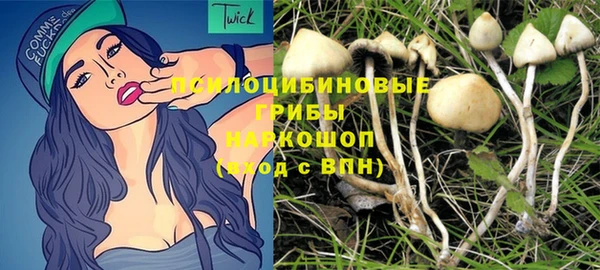 гидра Новокубанск