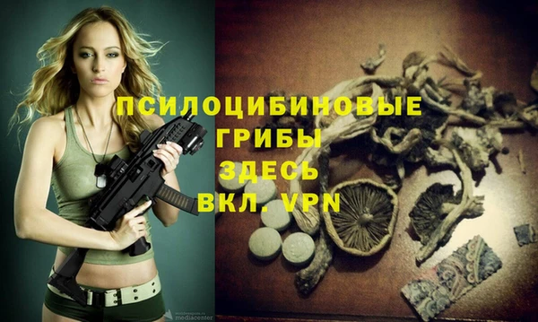гидра Новокубанск