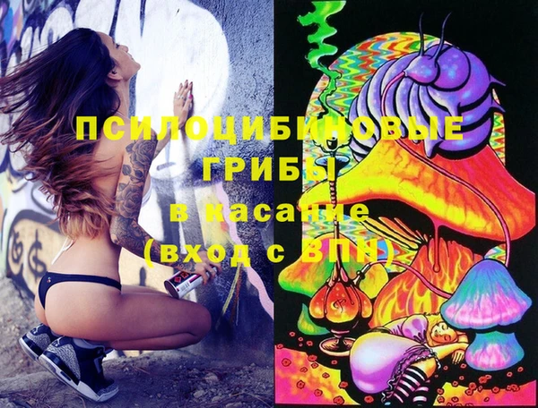 прущие крисы Нея
