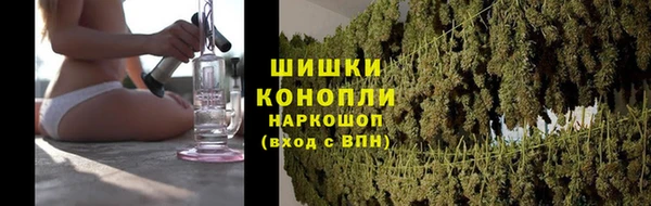 стаф Бежецк
