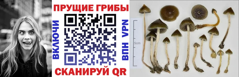 Псилоцибиновые грибы мухоморы  Харабали 